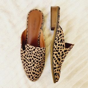 Indigo Rd. Leopard/Spotted Print Mules